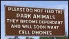 dont-feed-the-animals.jpg